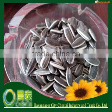 3638 New Seeds Sunflower Seeds On Sale