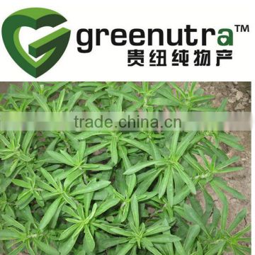 Stevia Extract Stevioside:80% ,90%,92%,95% by HPLC