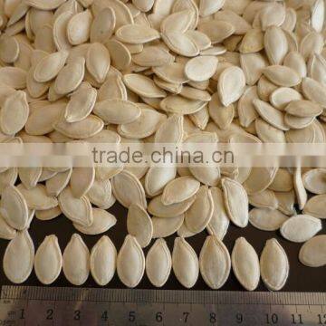 bulk China pumkin seed kernels shine skine-grade AA