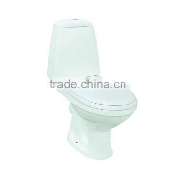 Two piece washdown floor mounted WC