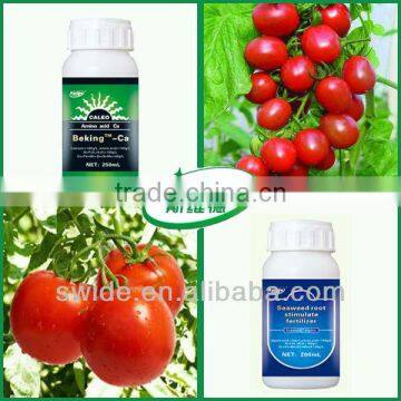 Hydroponic Tomato Fertilizer