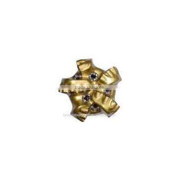 Steel Body Pdc Drill Bit/PDC Oil Bits Bestselling photo-2