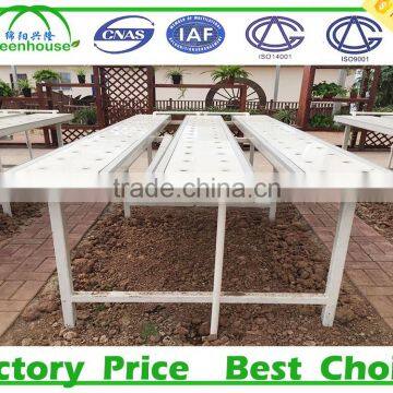 Hydroponic Systems Greenhouse for Agriculture photo-6