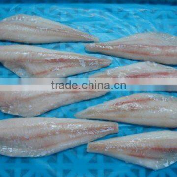 Alaska Pollock fillets