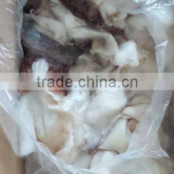 Frozen Giant Squid Neck photo-3