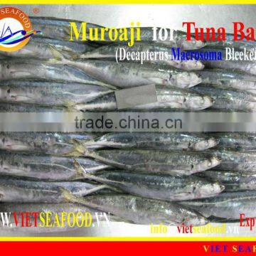 FROZEN W/R MUROAJI FOR TUNA BAIT photo-2