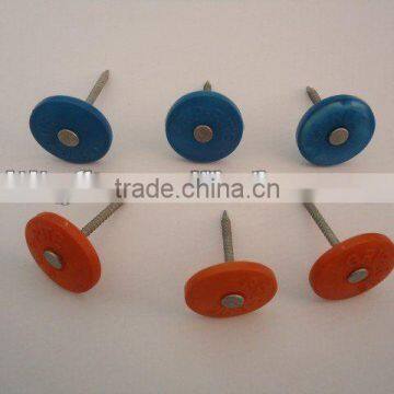 plastic cap nail china supplier on hot sale