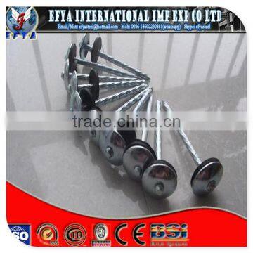 roofing nail with washer