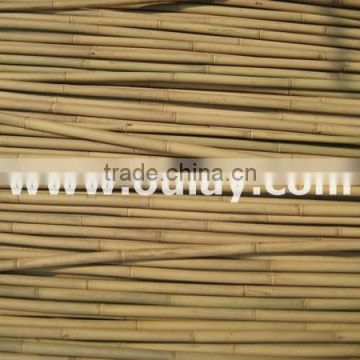 Natural bamboo poles canes cheap wholesale