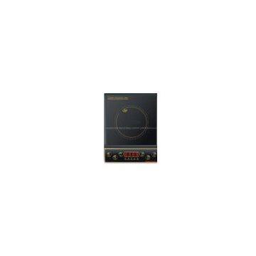 Induction Cooker