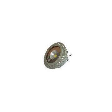 High Brightness White LED Explosion Proof Lights With 50W IP65