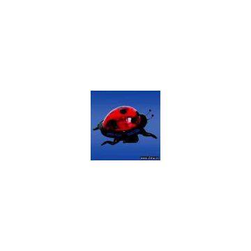 Sell Solar Garden Light-Lady Bug