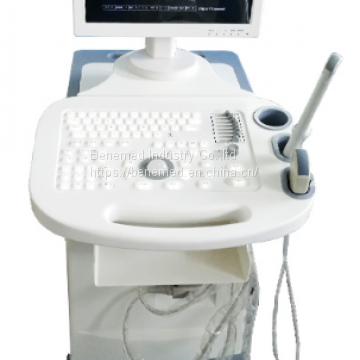 Trolly Black and Whit Ultrasound Scanner BW-5Plus photo-3