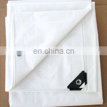 Cover Tarpaulin in blue-white , container tarpaulin korea