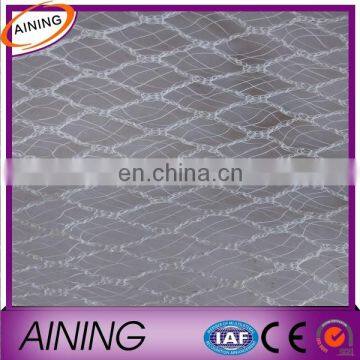Vegetable Garden Pest Control Fence,Anti Bird/mole Netting/plastic Safety Control Net photo-6