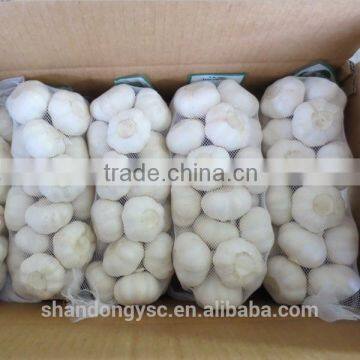 The Best Vegetable Product From China Fresh Garlic photo-3