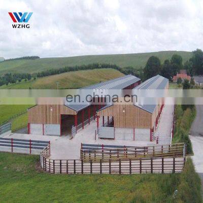 Prefab Custom Poultry Farm Q355B Q235B Steel Structure House 10000 Pcs Chicken House Steel Metal Sheds Cow Sheds for Sale photo-5