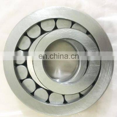 Cylindrical Roller Bearing 06NU0721 bearing