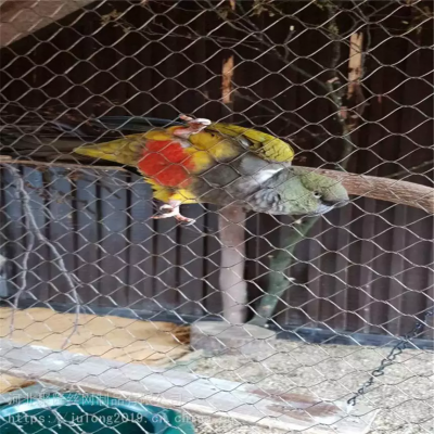 Vogelgehege Zoo China Edelstahl-flexibles Drahtstopfen-Kabelseilnetz für Zoo-Tiere X-Tend Zoo Netz