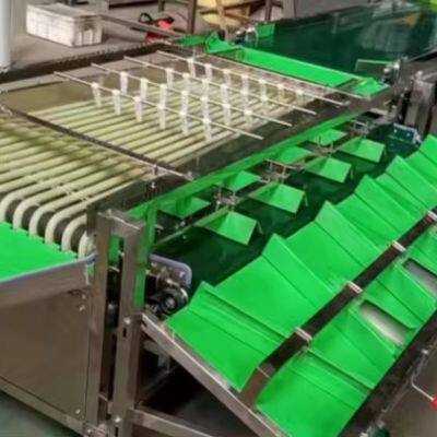 Машина для сортировки и градации драконовых фруктов, линия сортировочных и градационных машин, машины для классификации