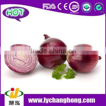 Fresh Onion for Middle East Market photo-1