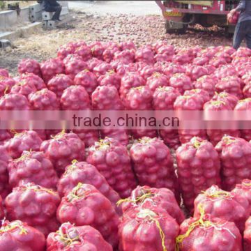 Wholesale new fresh onion for export 5-7cm, 6-8cm, 8cm up