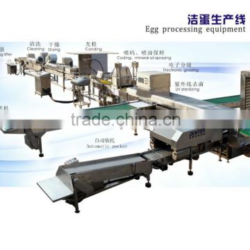 China hotest egg processing machine from zenyer