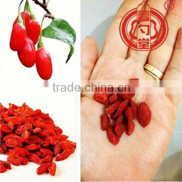 Ningxia Certified Organic Goji Berries, A Tonic Herb and Super Fruit Gouqizi Ningxia lycium medlar fruit