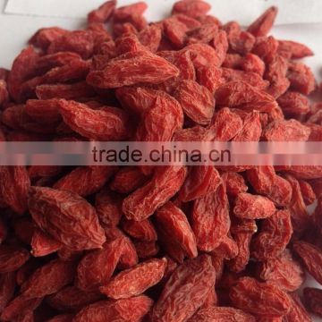 Health Food Goji Berries Organic