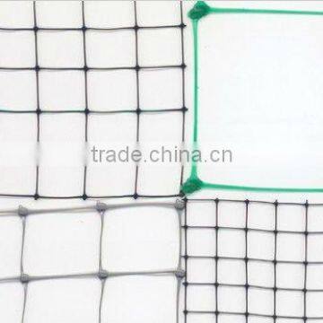 Agricultural Plastic Anti Bird Netting