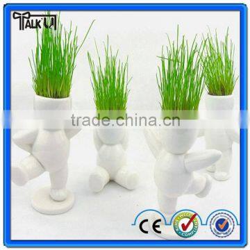 Hot Sale little man plant Grass head man/Grass doll/Little white man