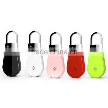 Customized car/cat key finder keyring