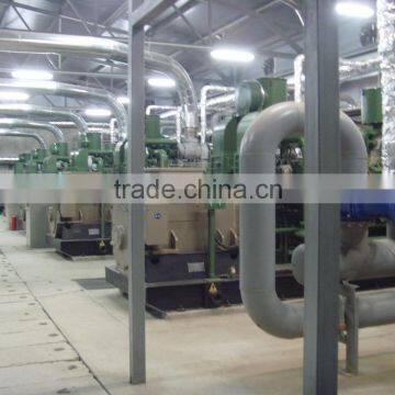 3 MW Biomass Gasification Power Generation System photo-2
