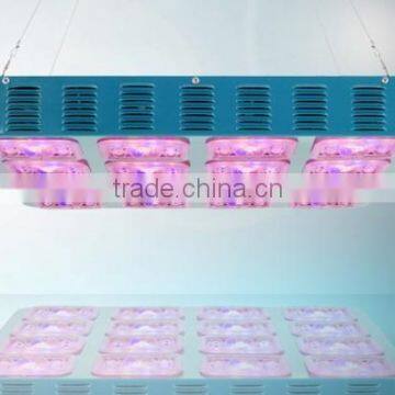 H113D LED grow light vegetative & flowering