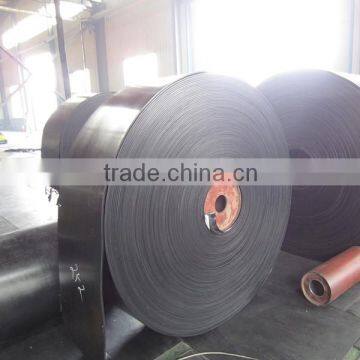new disign assembly line nylon endless conveyor belt