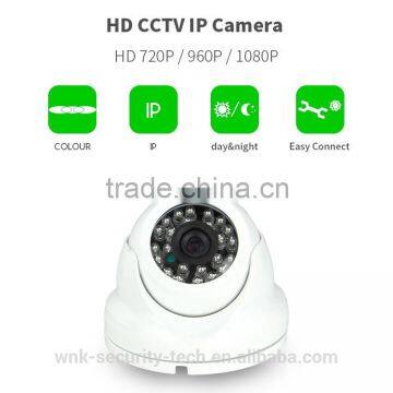 Vite vision indoor network rotating dome surveillance IP cameras