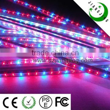 IP68 plant growth tomato grow led lighting for growing vegetables