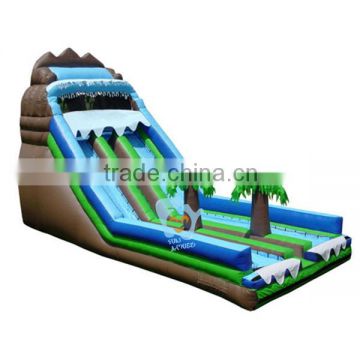 outdoor sports double sided inflatable water beach slide