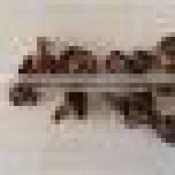 Dried Shiitake Mushroom From China photo-2