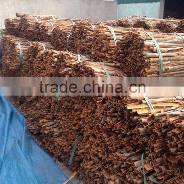 High Quality Cassia (website: Vietkhoico.ltd) photo-2