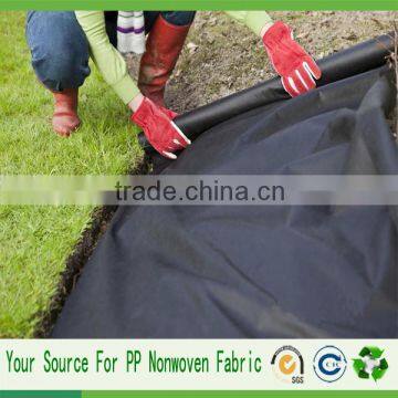 Spunbonded no woven fabric materiale textile ground cover with perforated