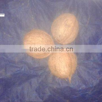 Delhi Coconuts photo-5