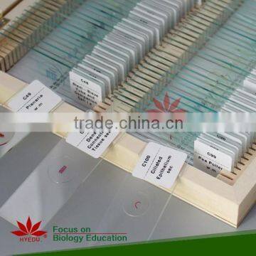 High quality 100pcs set prepared slides from factory