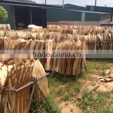 Wood Core Veneer Eucalyptus/acacia From Vietnam photo-2