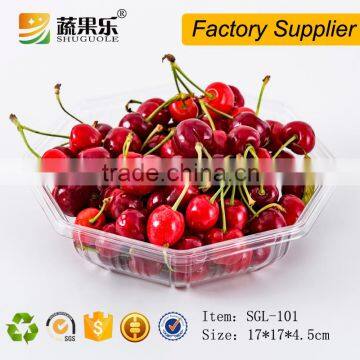 Promotional Transparent Plastic Pet Tray photo-2