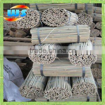 Bambu for plantation 50cm X10-12mm