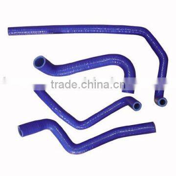 Auto Silicone Hose (LG-DS12)