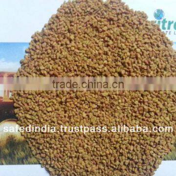 Fenugreek seed