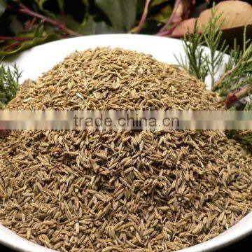 Cumin Exporters