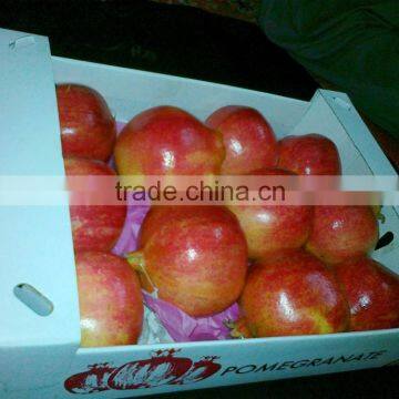 Golden Egyptian Pomegranates